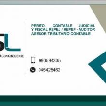 PERITO CONTABLE DE PARTE SILVIA FABIOLA LAGUNA Tel. 990-594-335 RUC 10077536367